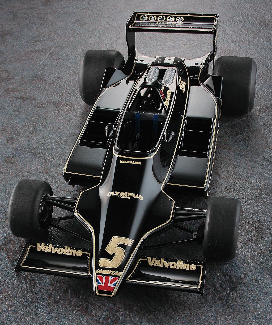 Hasegawa Lotus79 1978 German GP Winner - BanzaiHobby