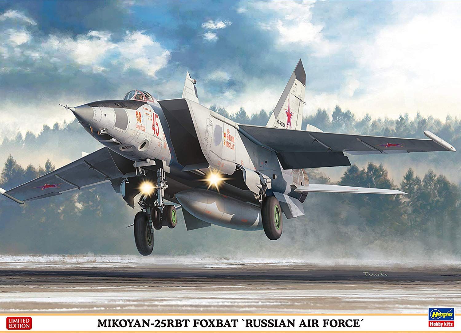 Hasegawa MiG-25RBT Foxbat `Russian Air Force - BanzaiHobby