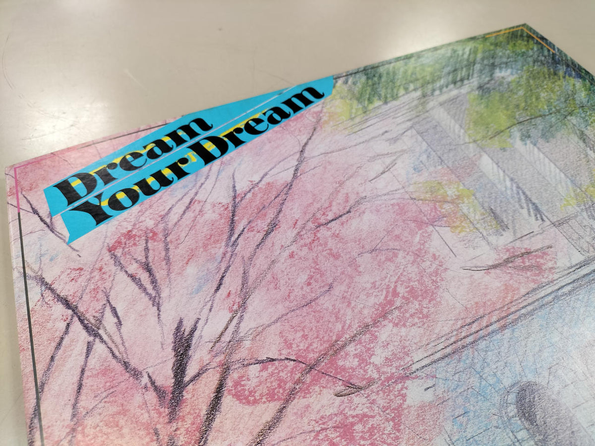 VICTOR LP Record DREAM YOUR DREAM
