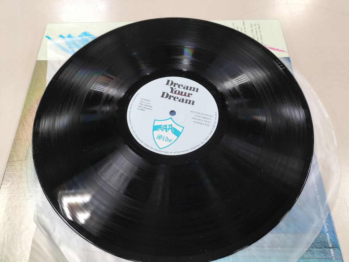 VICTOR LP Record DREAM YOUR DREAM