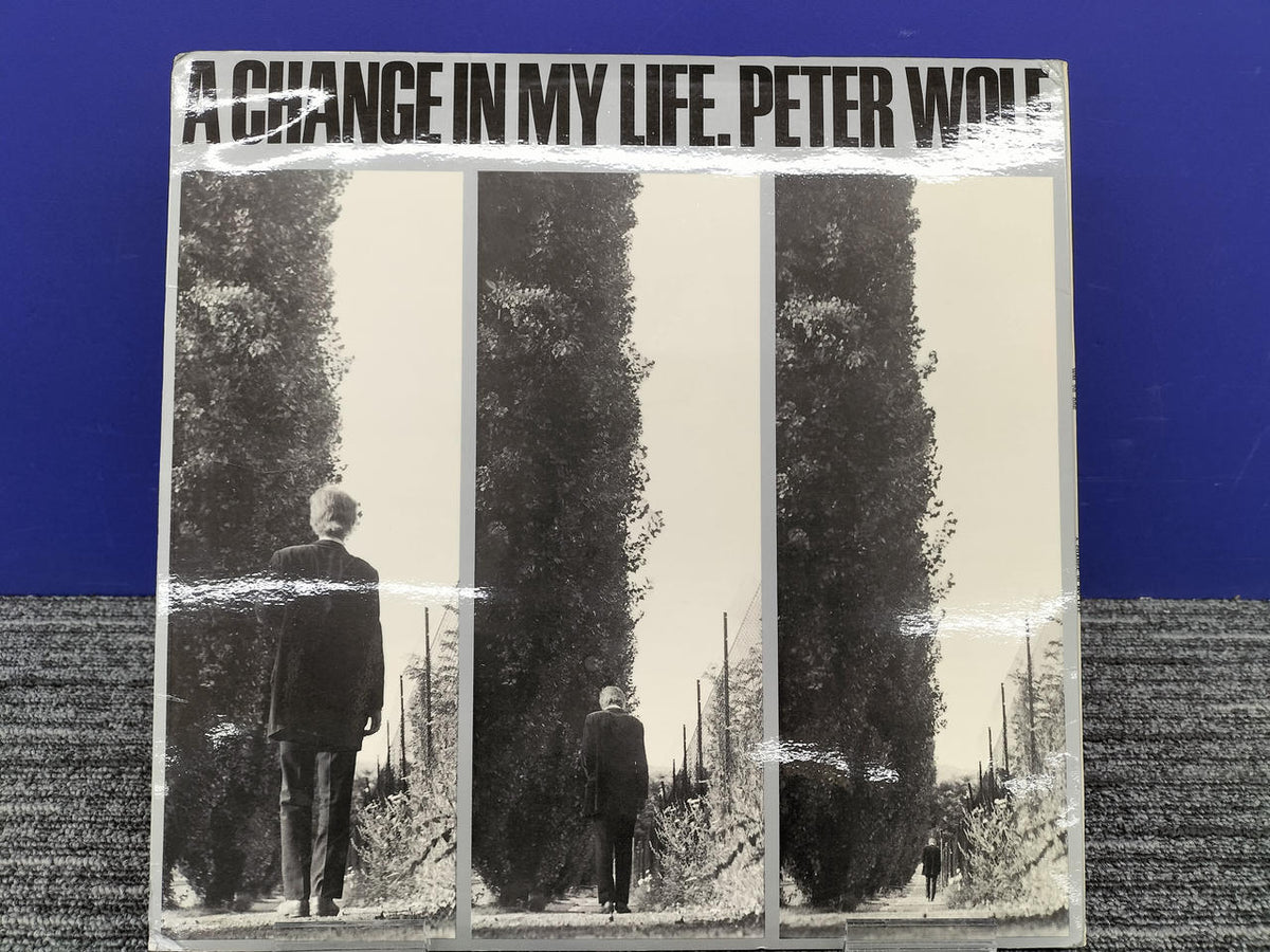 WM PRODUKTION [Disc Scratches] A Change In My Life WM 20 006