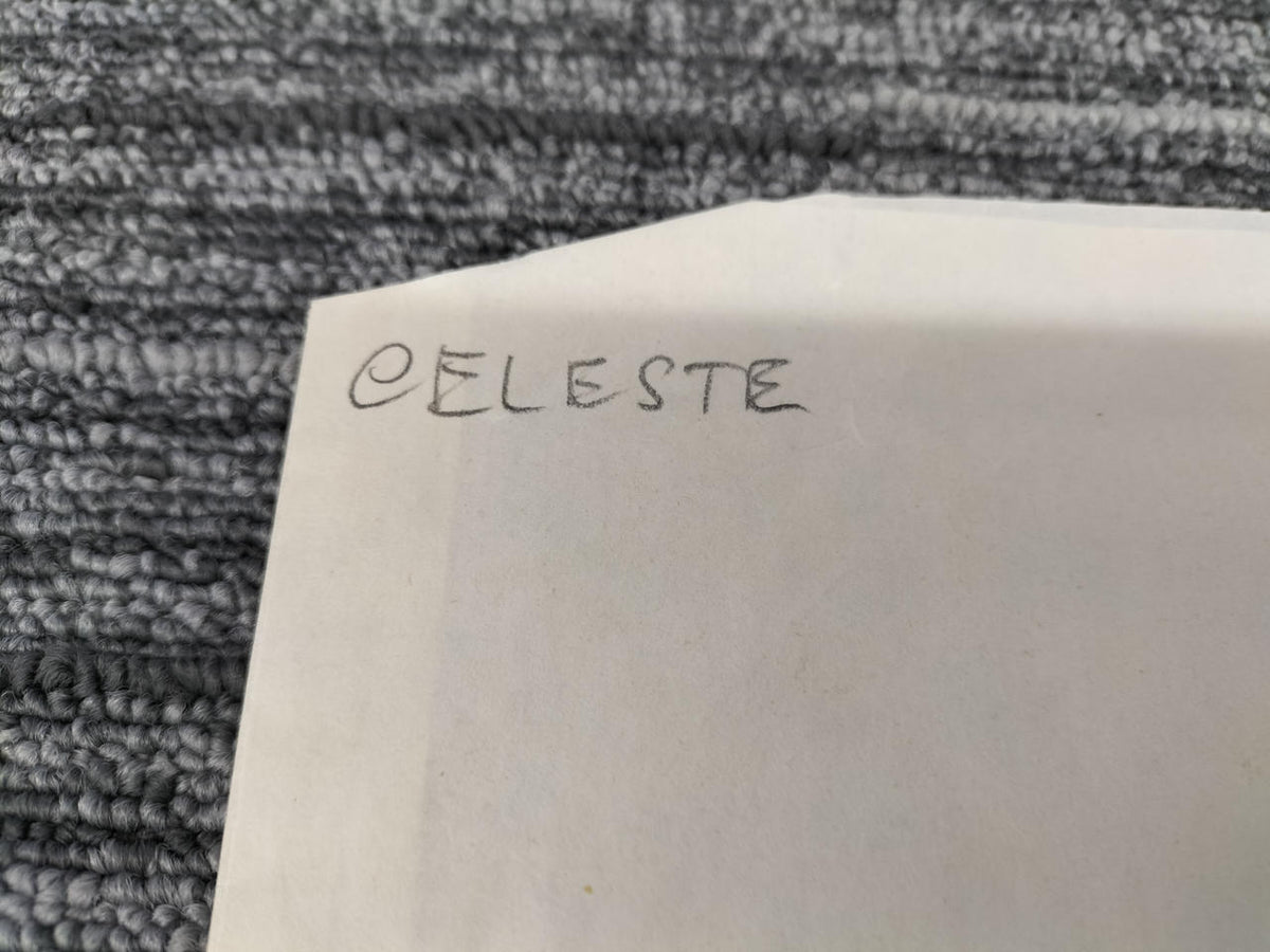 CELESTE [With Scratches and Dirt, Sold As-Is] Record CELESTE GRL02