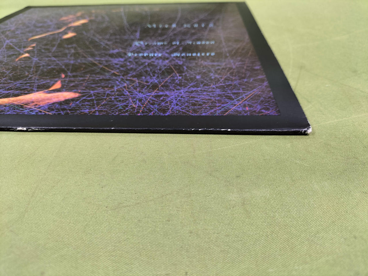 N/B Record: Mick Kahn / DREAMS OF REASON