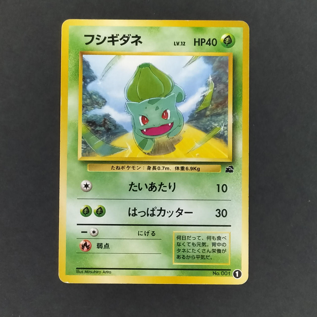 Pokémon Card Bulbasaur LV.12 Old Back Intro Pack