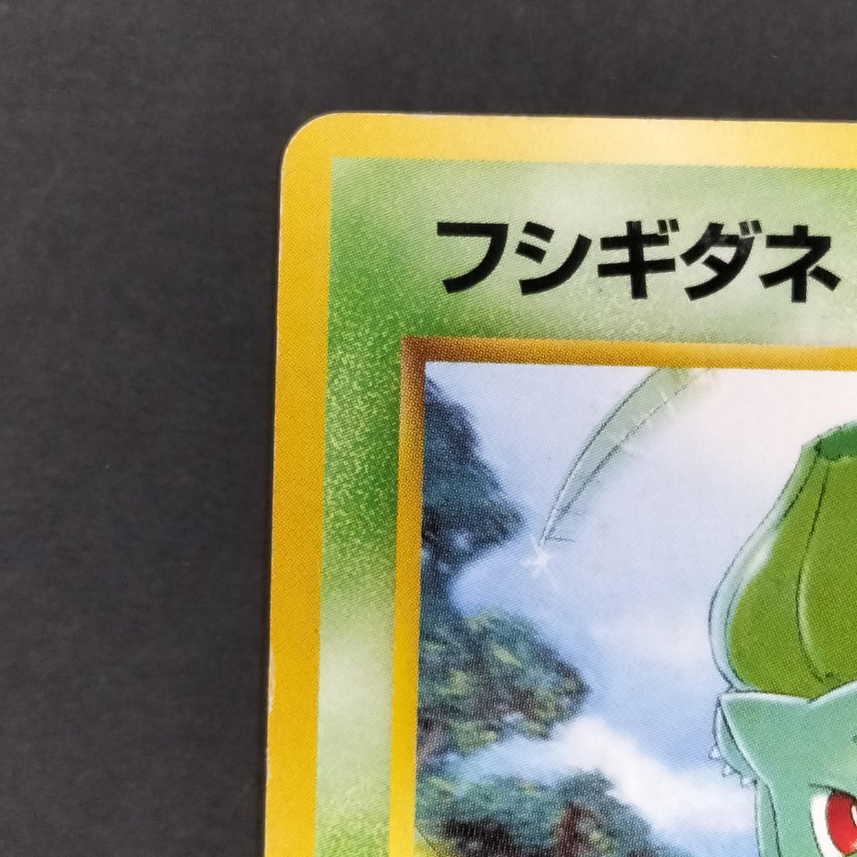 Pokémon Card Bulbasaur LV.12 Old Back Intro Pack