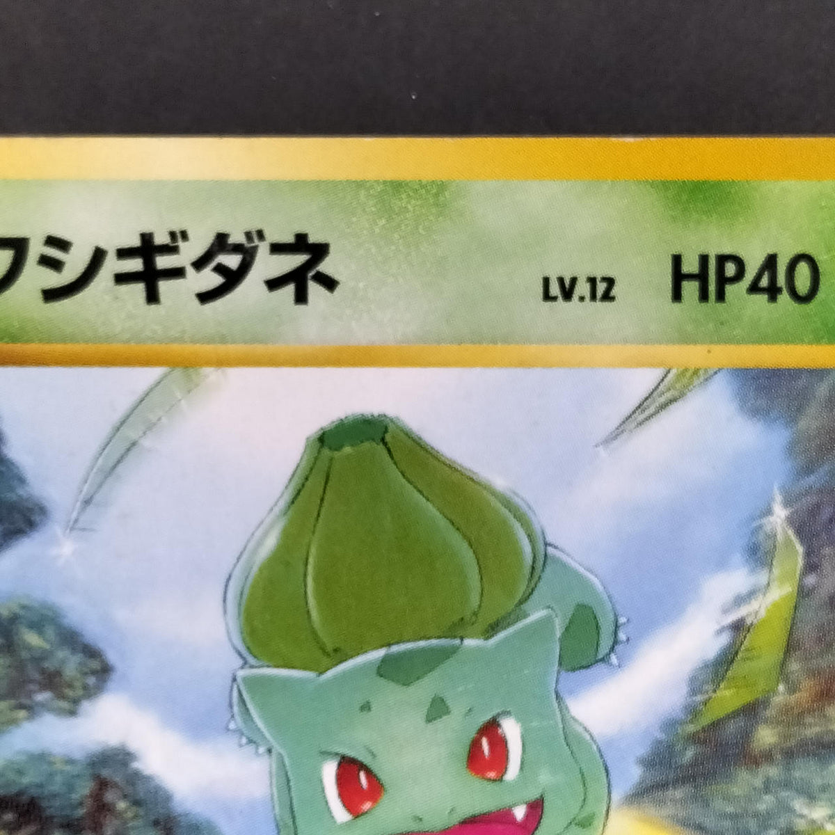 Pokémon Card Bulbasaur LV.12 Old Back Intro Pack
