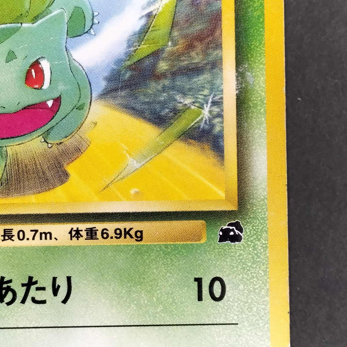 Pokémon Card Bulbasaur LV.12 Old Back Intro Pack