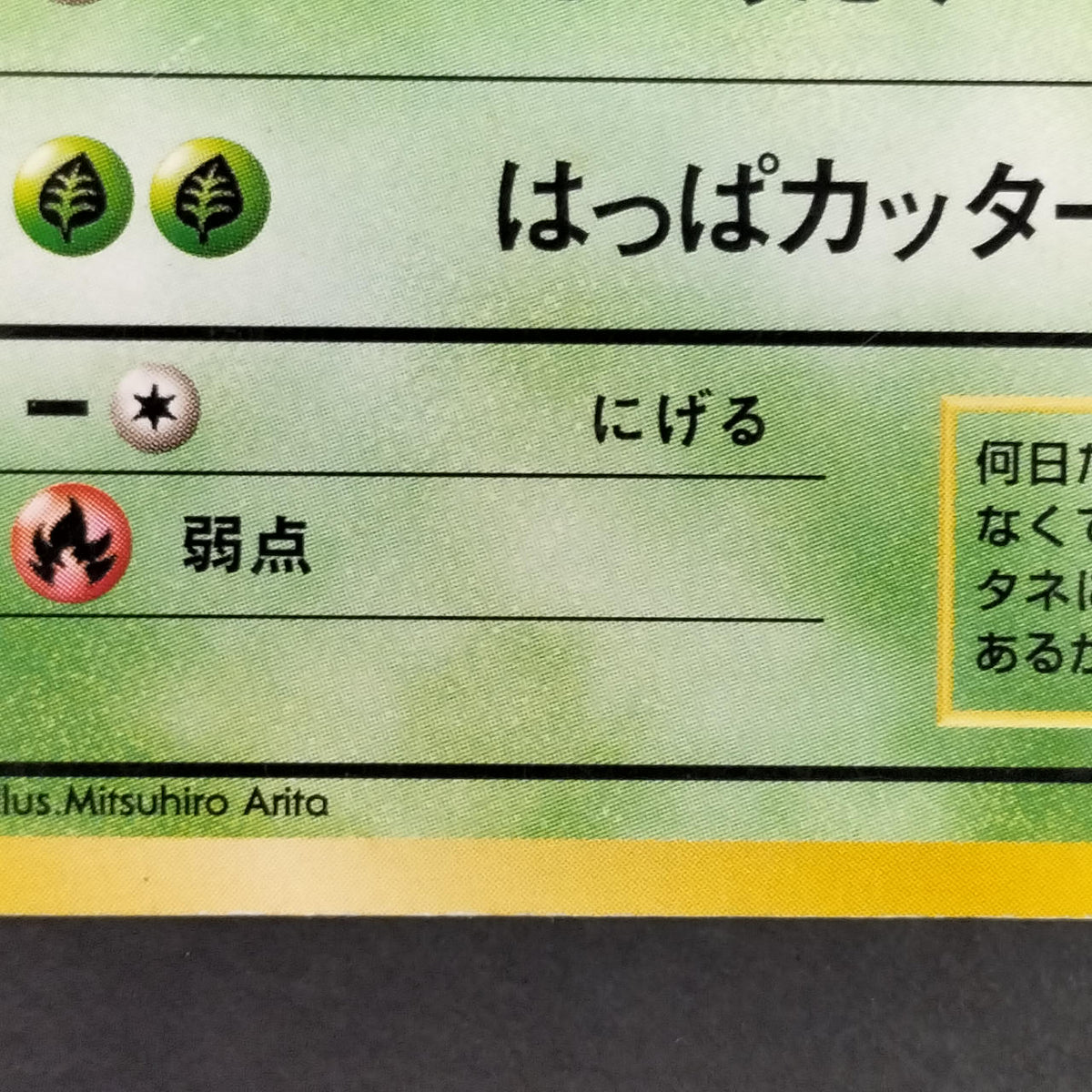 Pokémon Card Bulbasaur LV.12 Old Back Intro Pack