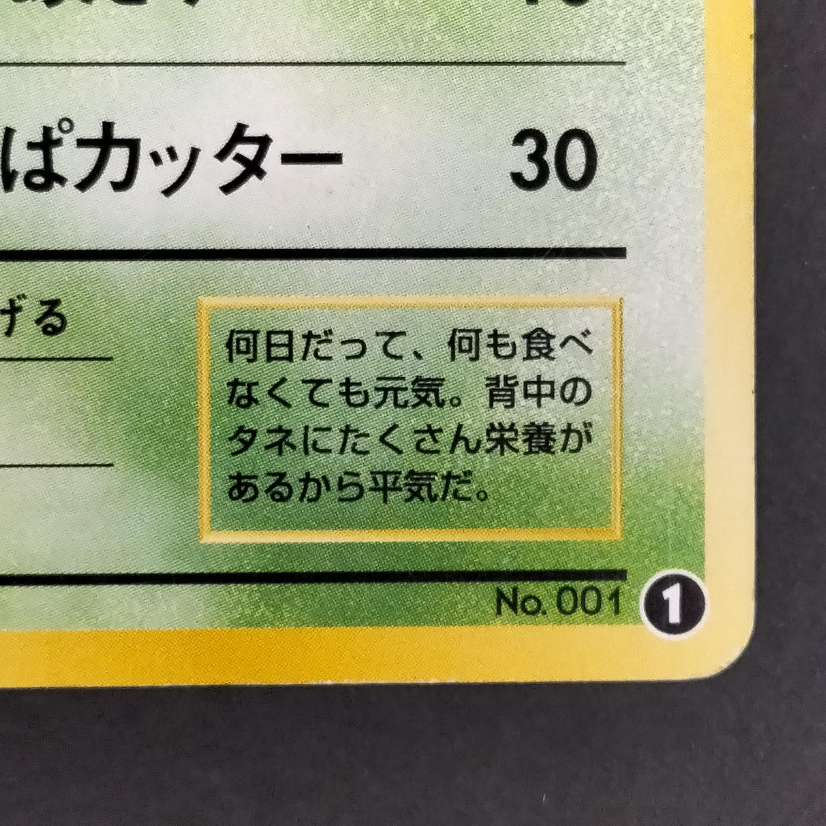 Pokémon Card Bulbasaur LV.12 Old Back Intro Pack