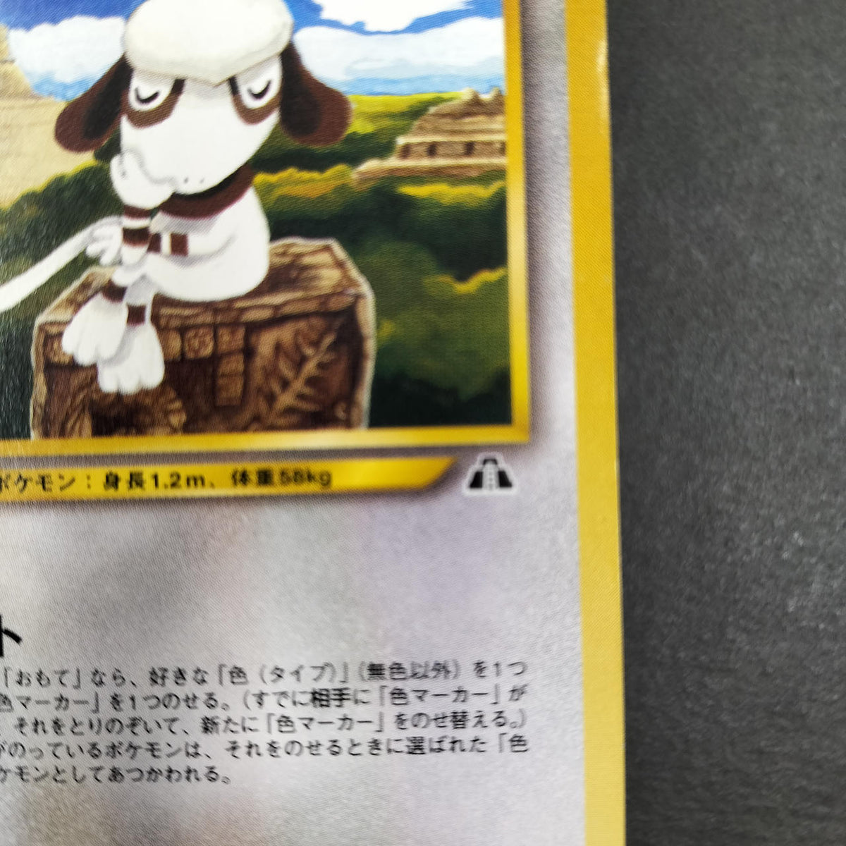 Pokémon Card Doverre Old Back Promo Official Magazine Trainers VOL.7