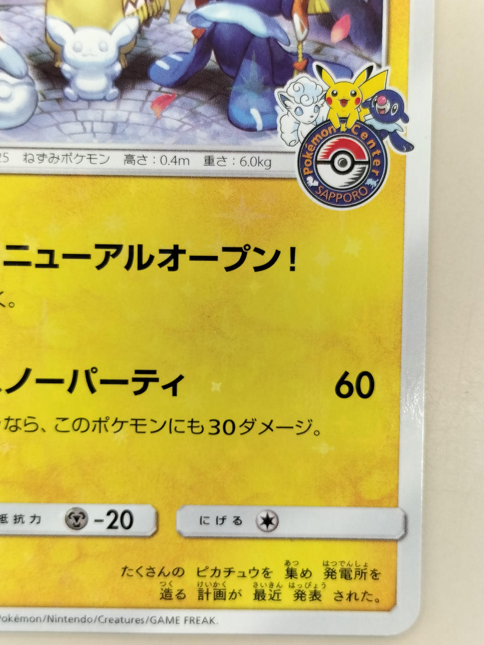 Pokémon Sapporo Pikachu 005/SM/P Others (No Rarity)