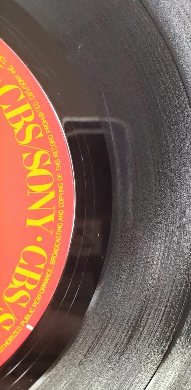 CBS SONY LP Record THROUGH THE BROKEN DOOR