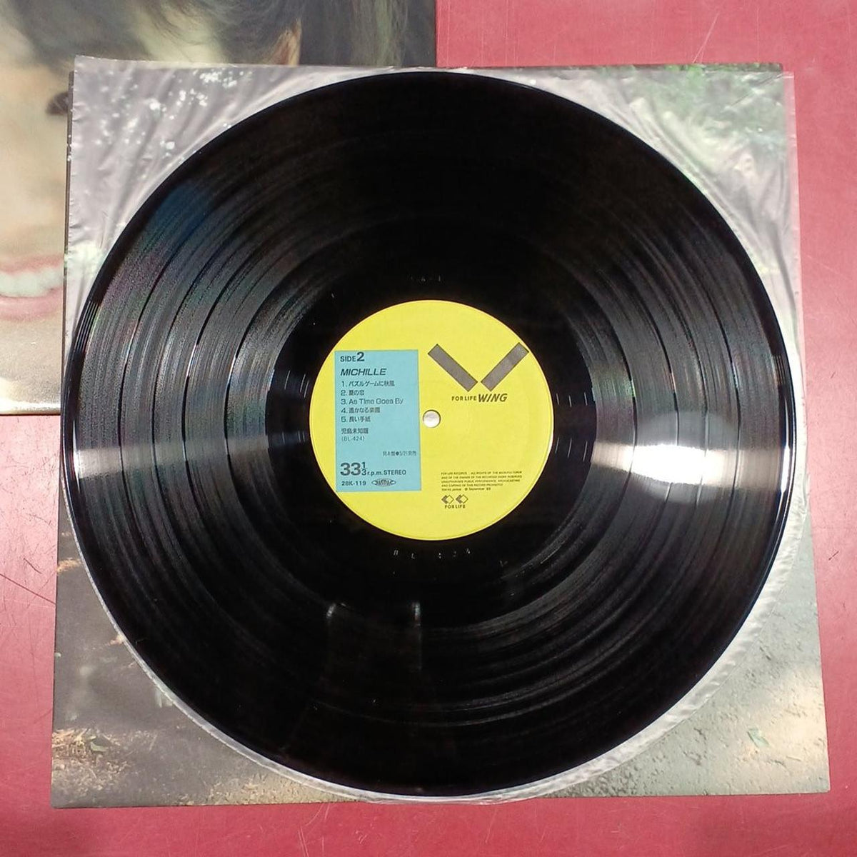 SOLID RECORDS Record MICHILLE +1