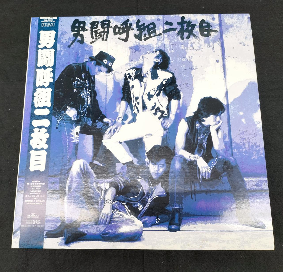 RCA Otokogumi LP 2-Disc Set