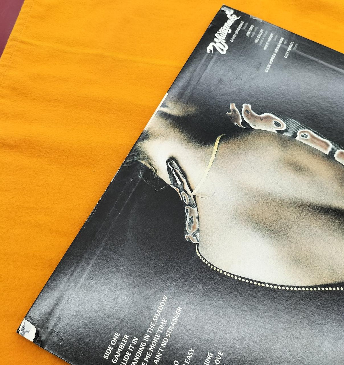 [JUNK] GEFFEN RECORDS LP Software 25AP 2680