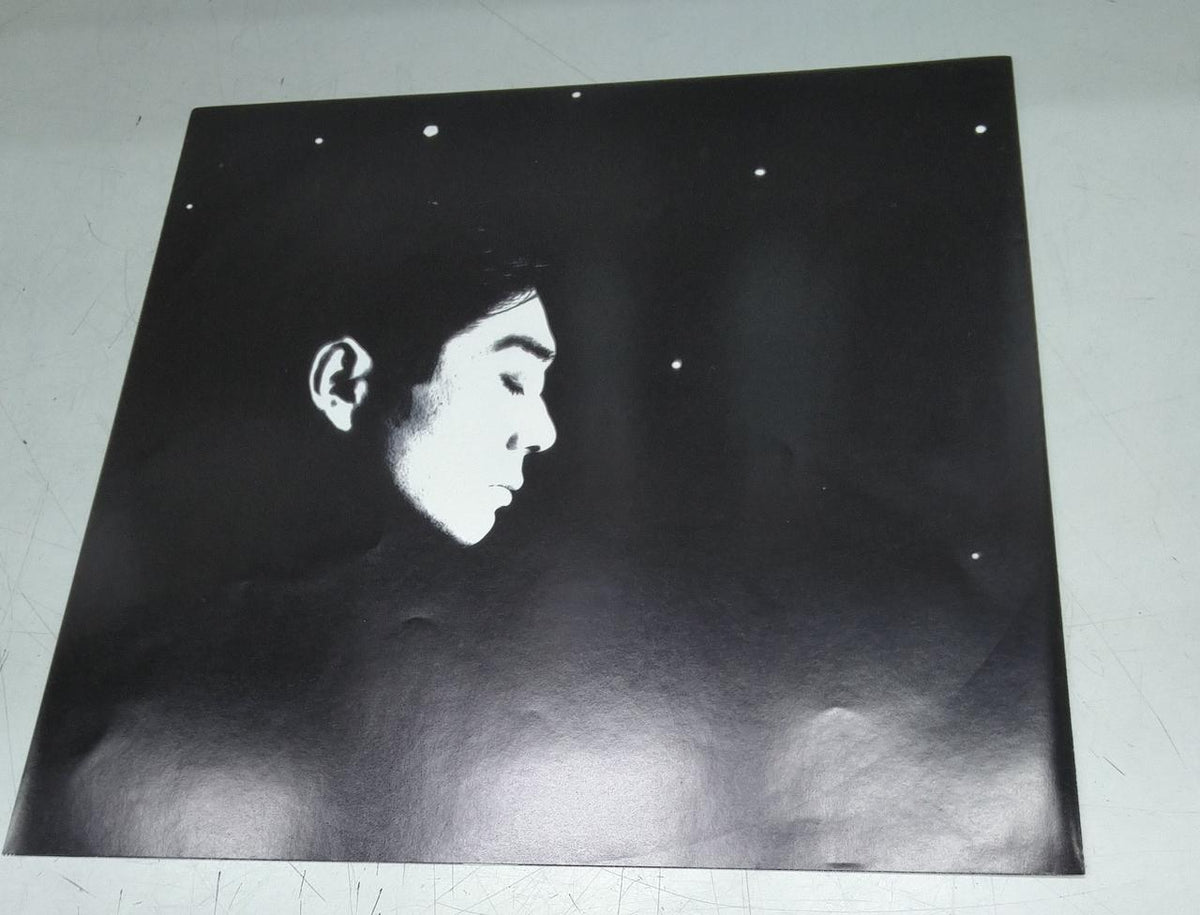 NON‐STANDARDSTEREO Record: S.F.X. Haruomi Hosono