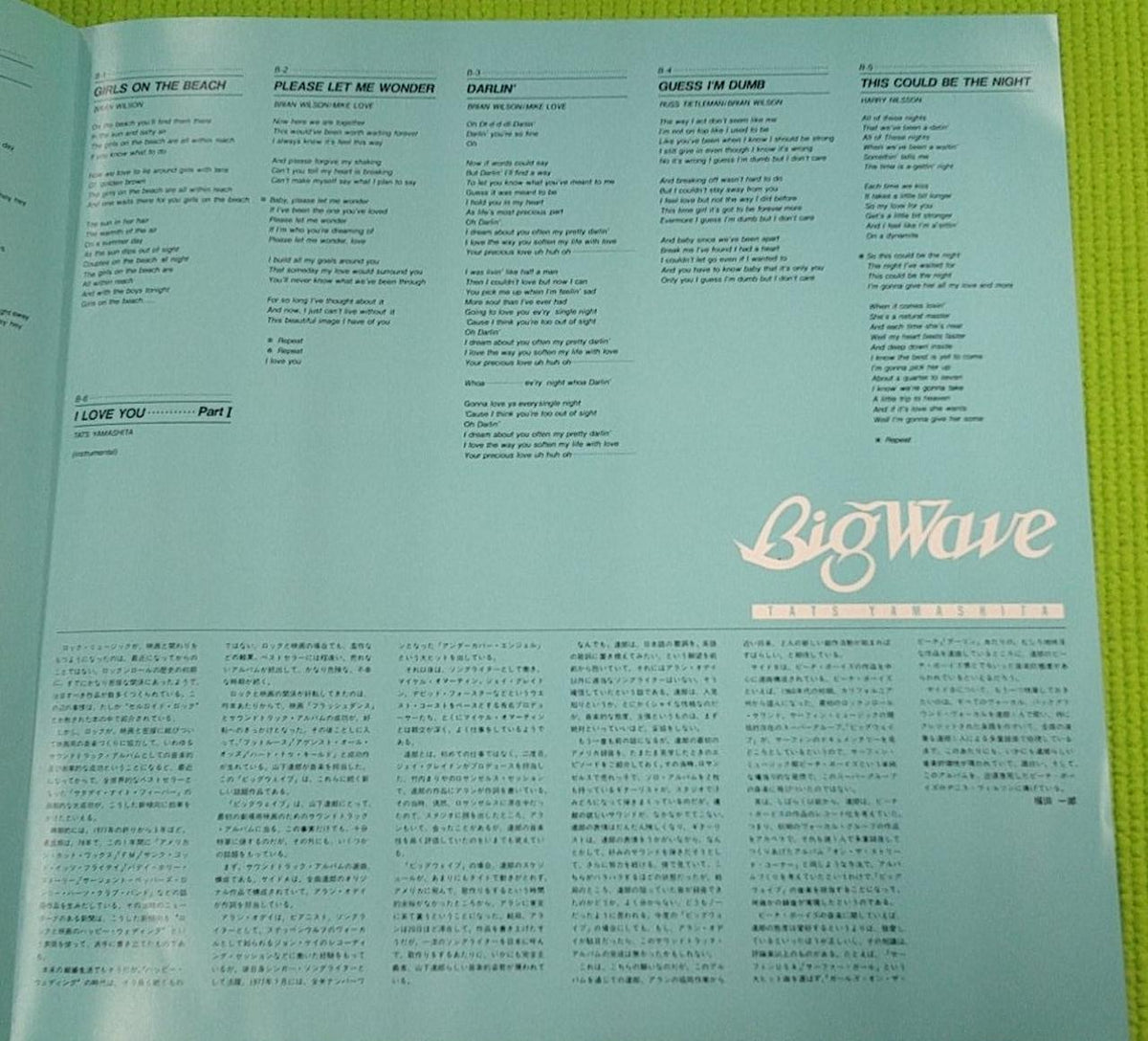 Alphamoon Inc. Big Wave / Tatsuro Yamashita MOON-28019