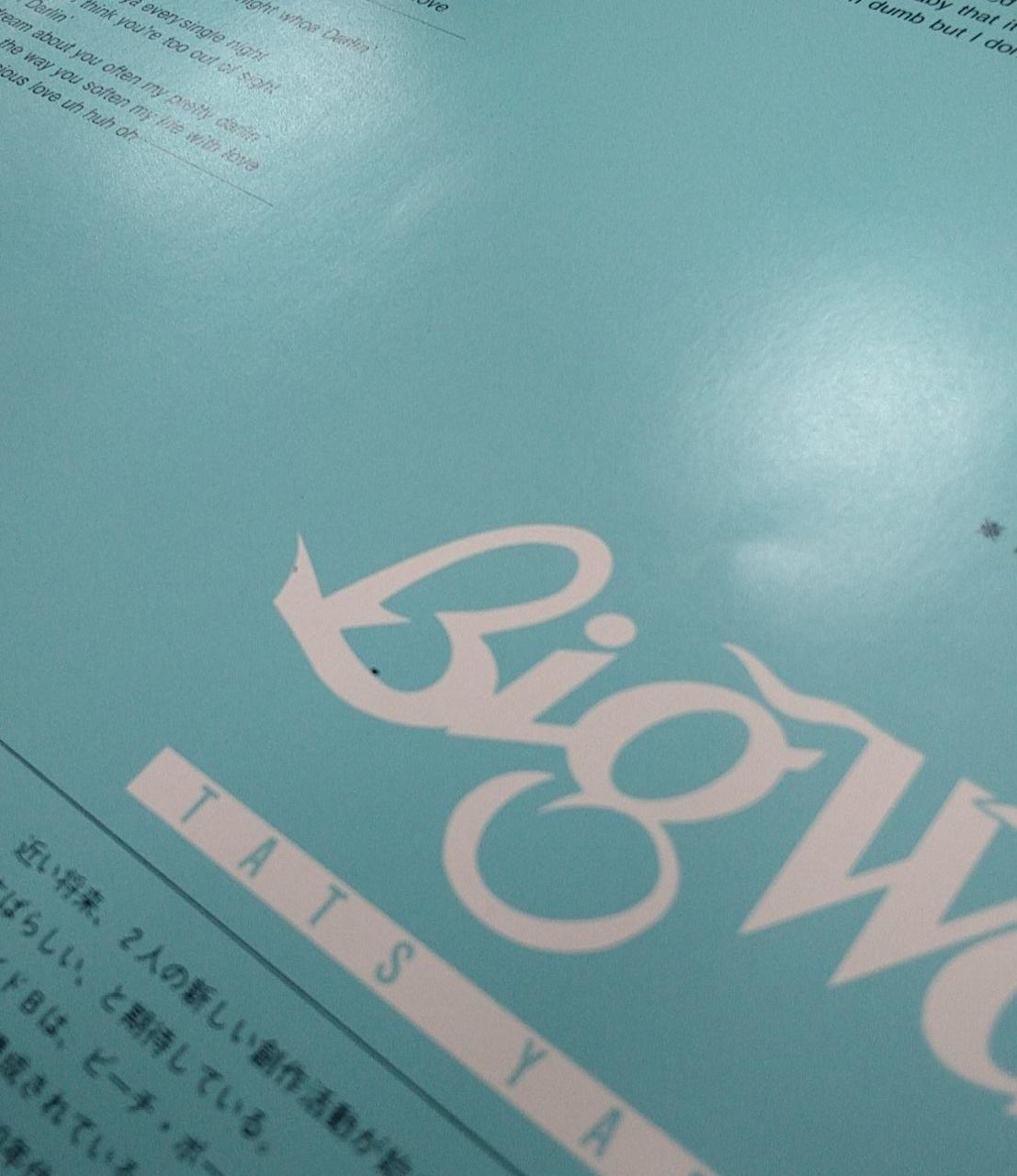 Alphamoon Inc. Big Wave / Tatsuro Yamashita MOON-28019