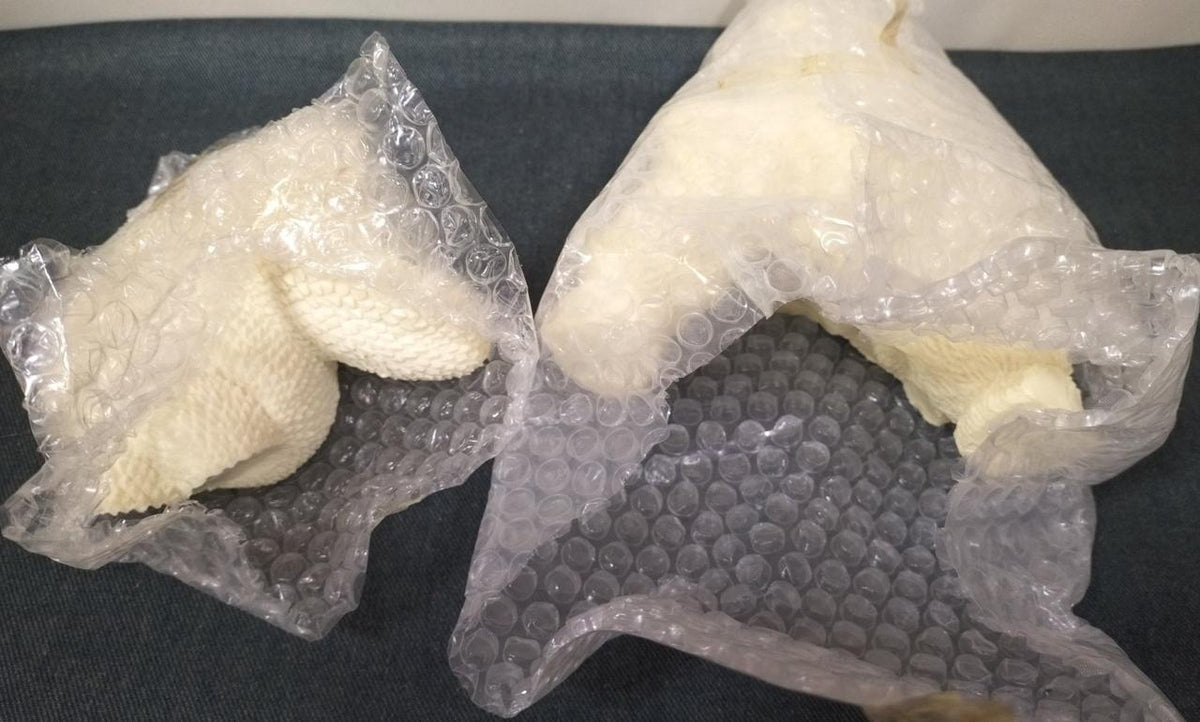 Yuji Sakai Sculpture Studio Godzilla & King Ghidorah Garage Kit - Banzai Thrifting | BanzaiHobby
