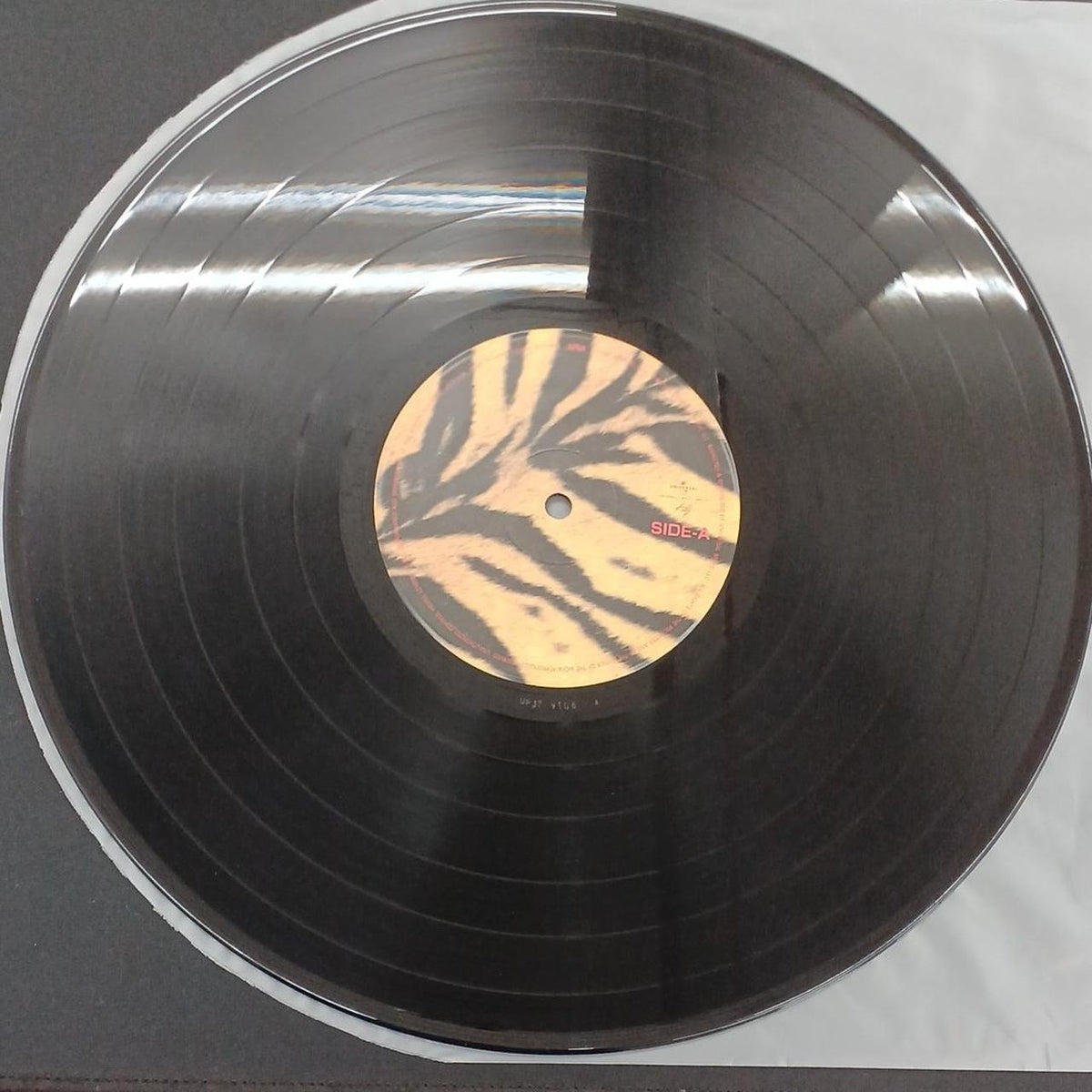 UNIVERSAL MUSIC Record: Tigermobil / The Hi-Lows