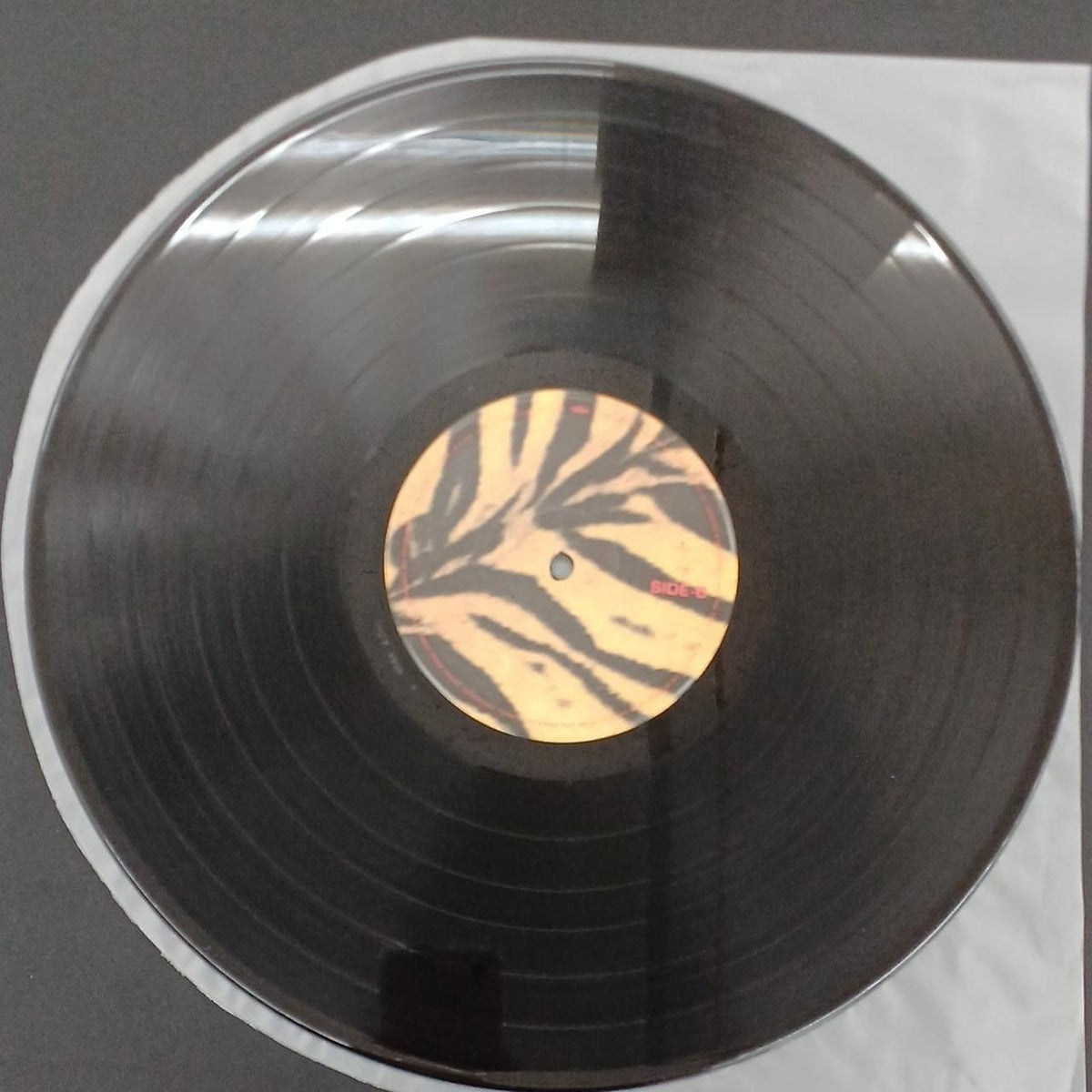 UNIVERSAL MUSIC Record: Tigermobil / The Hi-Lows