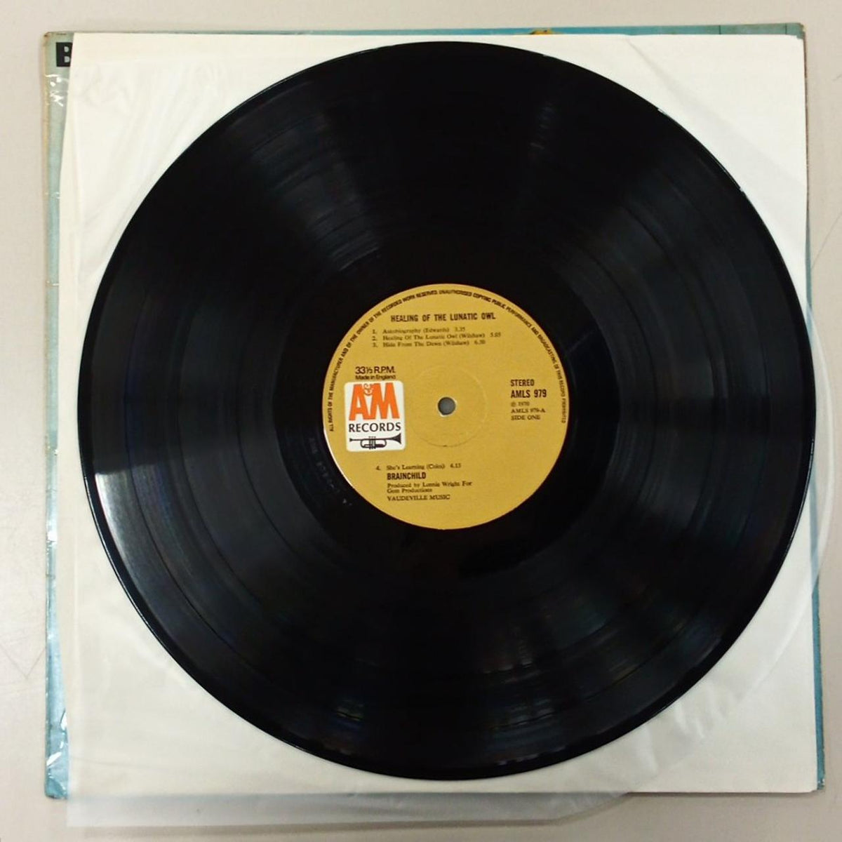 A&M RECORDS BRAINCHILD/HEALING OF THE LUNA AMLS979