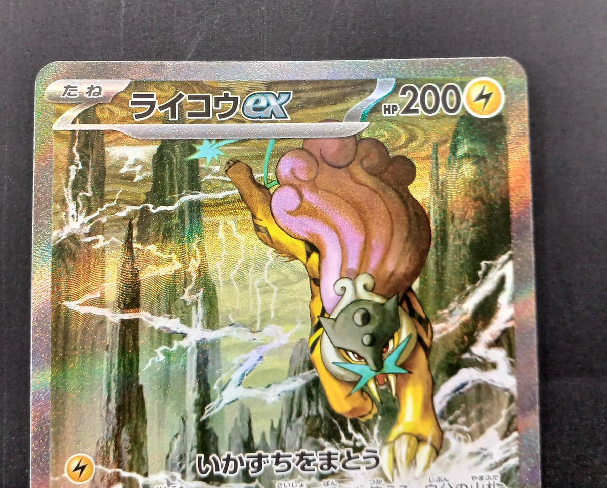 Pokémon Pokémon Card SAR Raikou EX