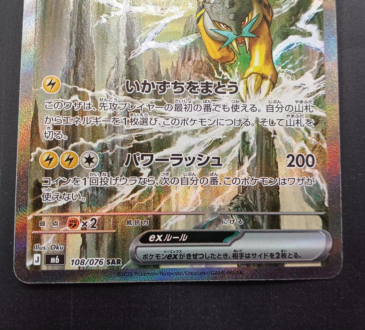 Pokémon Pokémon Card SAR Raikou EX
