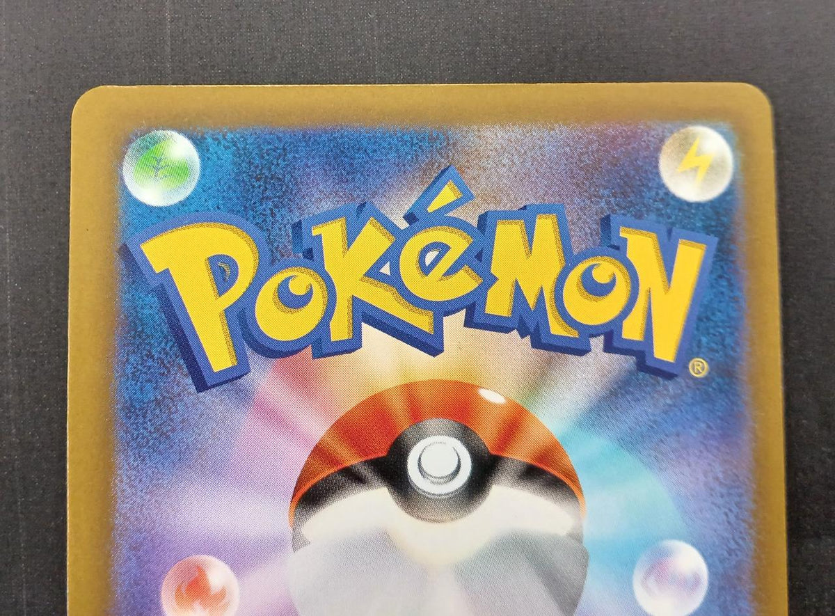 Pokémon Pokémon Card SAR Raikou EX