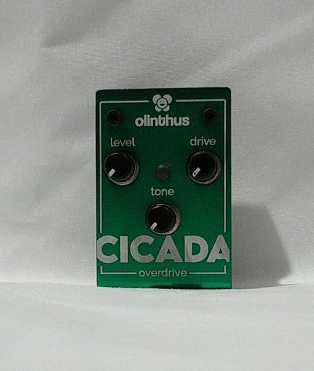 OLINTHUS Effects pedal: CICADA OVERDRIVE