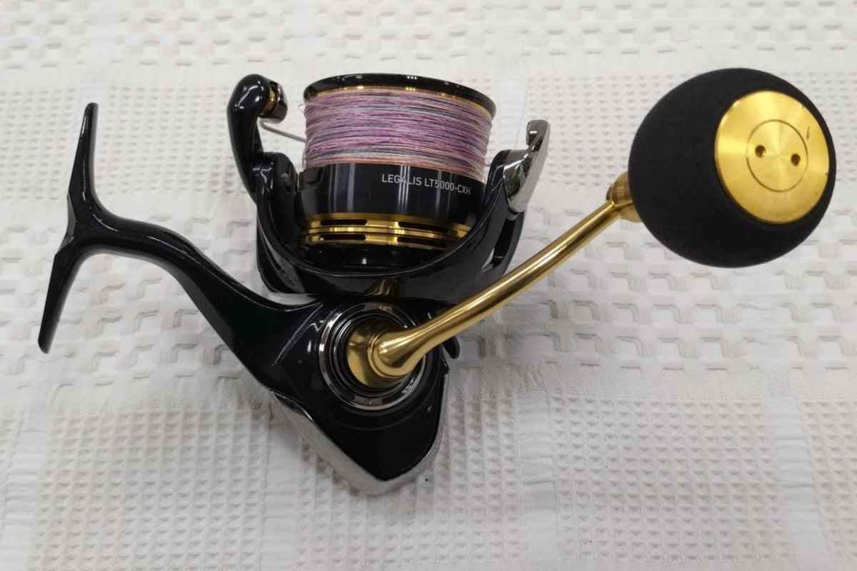 DAIWA Reel LEGARIS LT5000-CXH