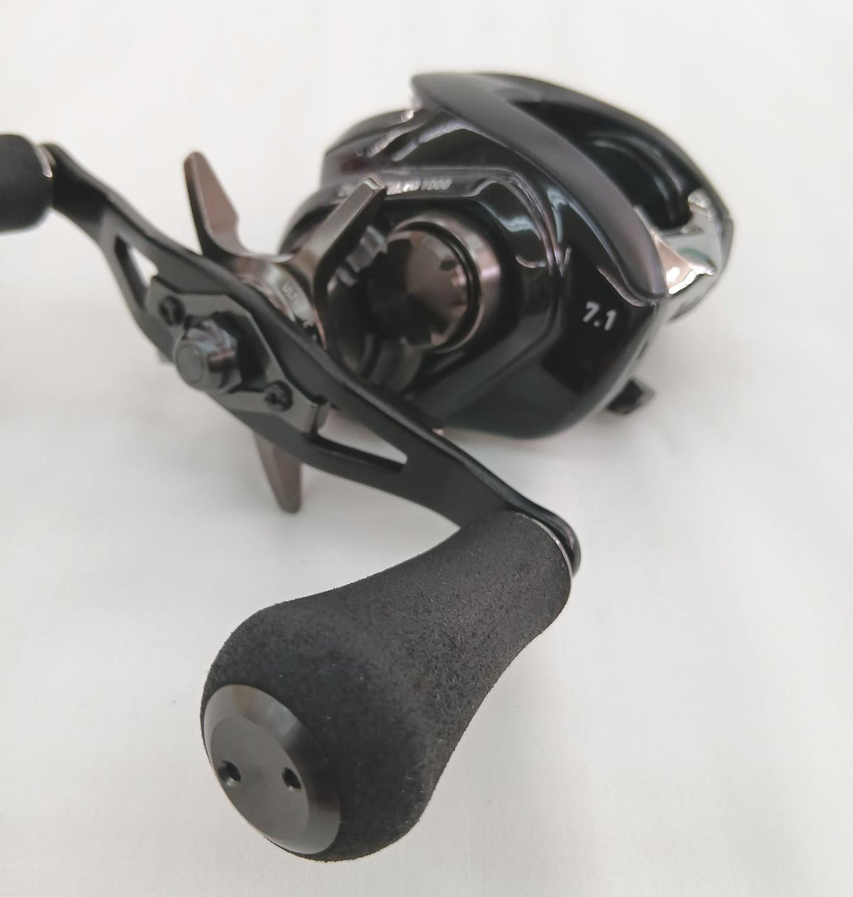 DAIWA Baitcasting Reels 630131