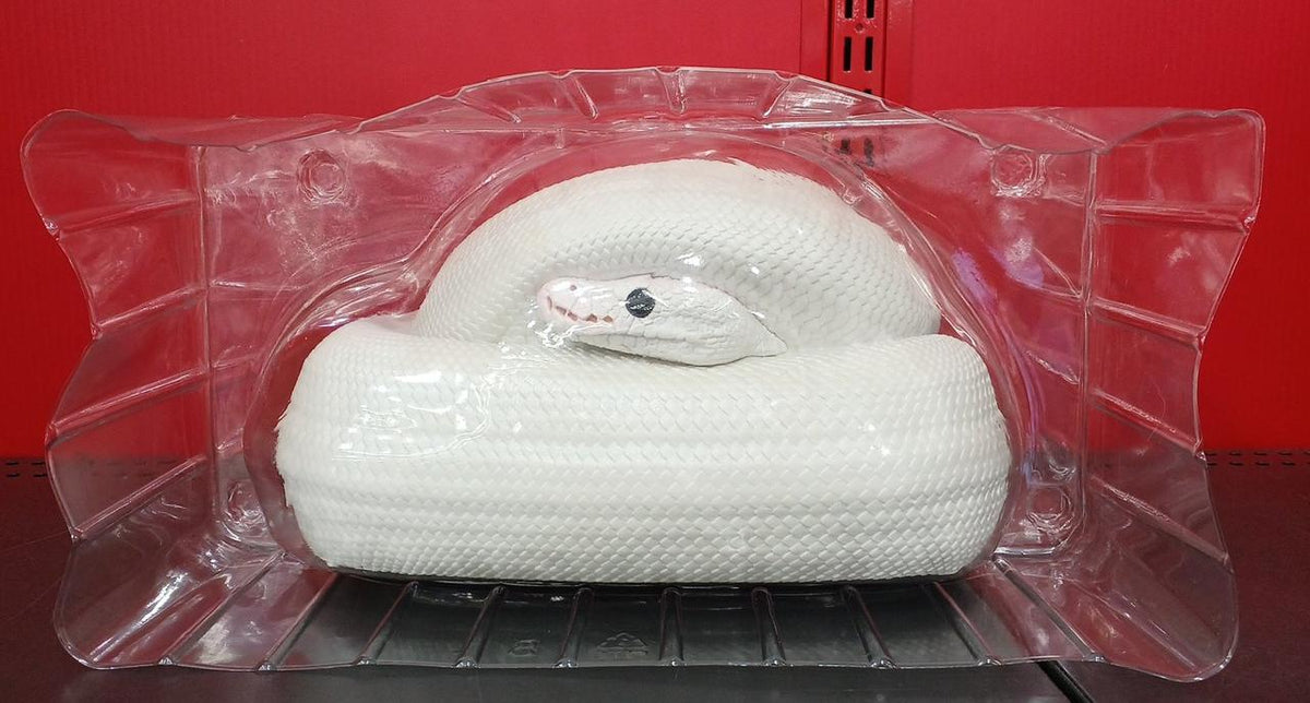 BANDAI Tissue Case Ichiban Kuji Reptiles & Amphibians 〜TINY FRIENDS〜VOL.