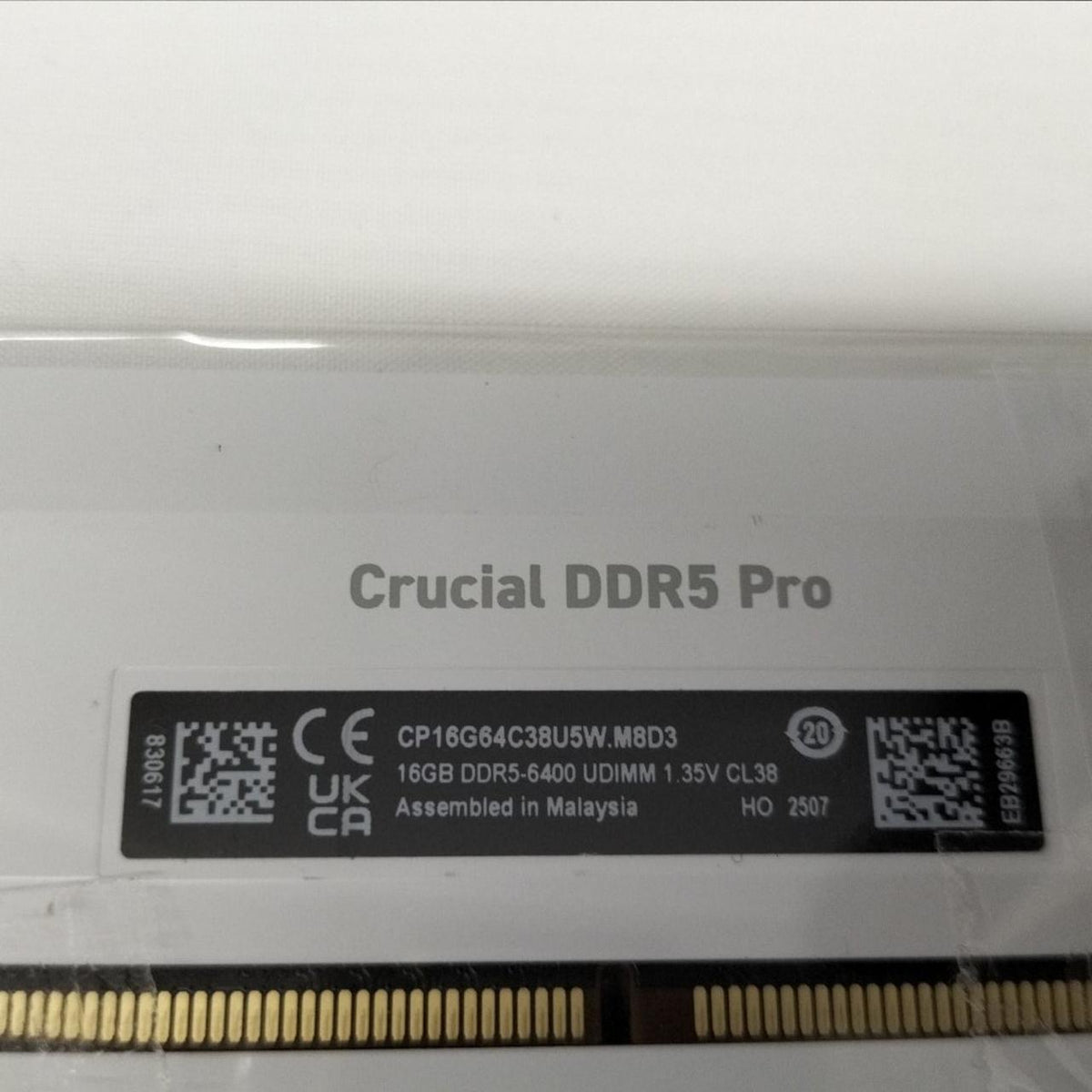 CRUCIAL Memory CP16G64C38U5W