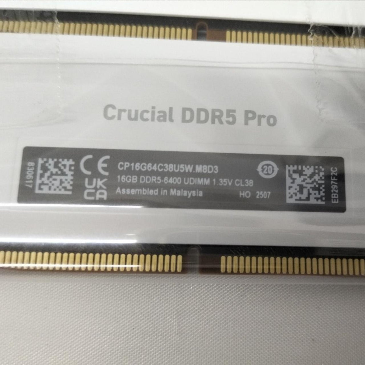 CRUCIAL Memory CP16G64C38U5W