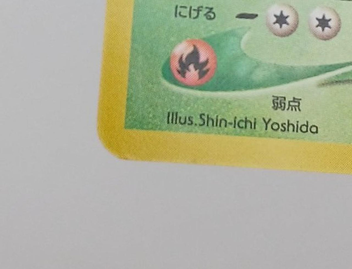 Pokémon Corporation Pokémon Card Bad Bulbasaur