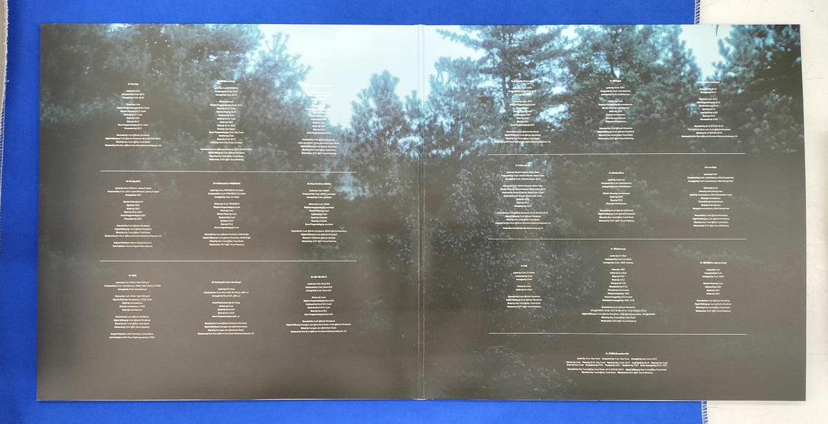 - LP Record CRUSH / WONDEREGO