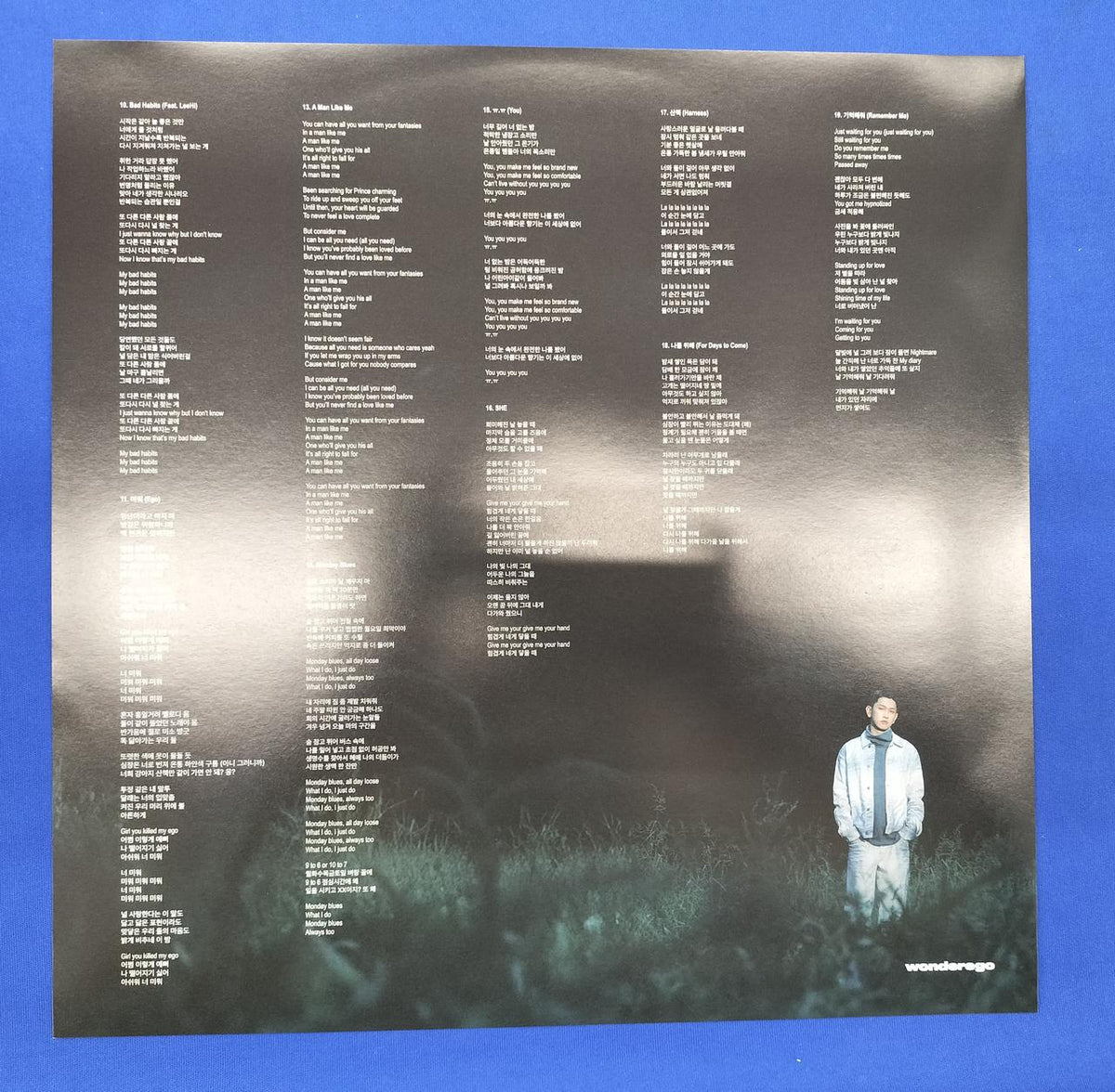 - LP Record CRUSH / WONDEREGO