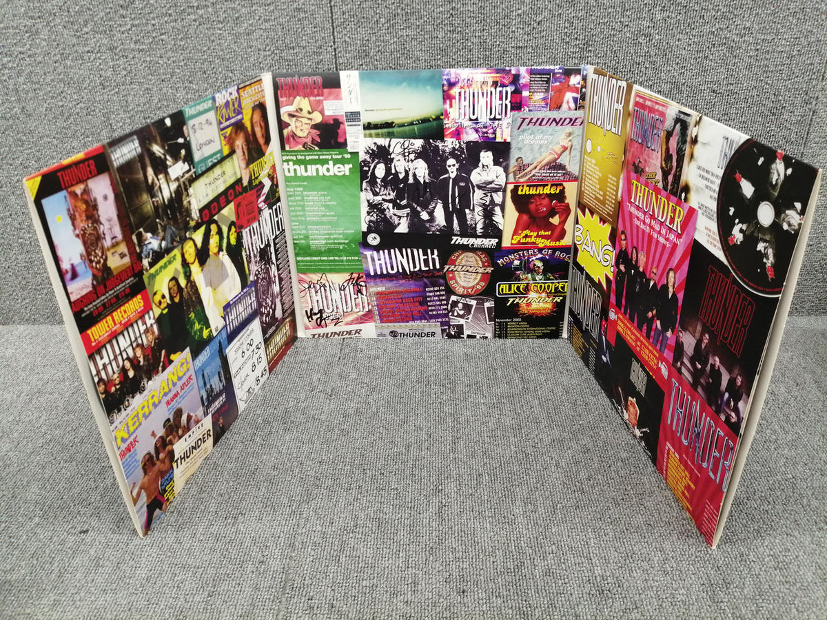 BMG Analog Record THUNDER/THE GREATEST HIT