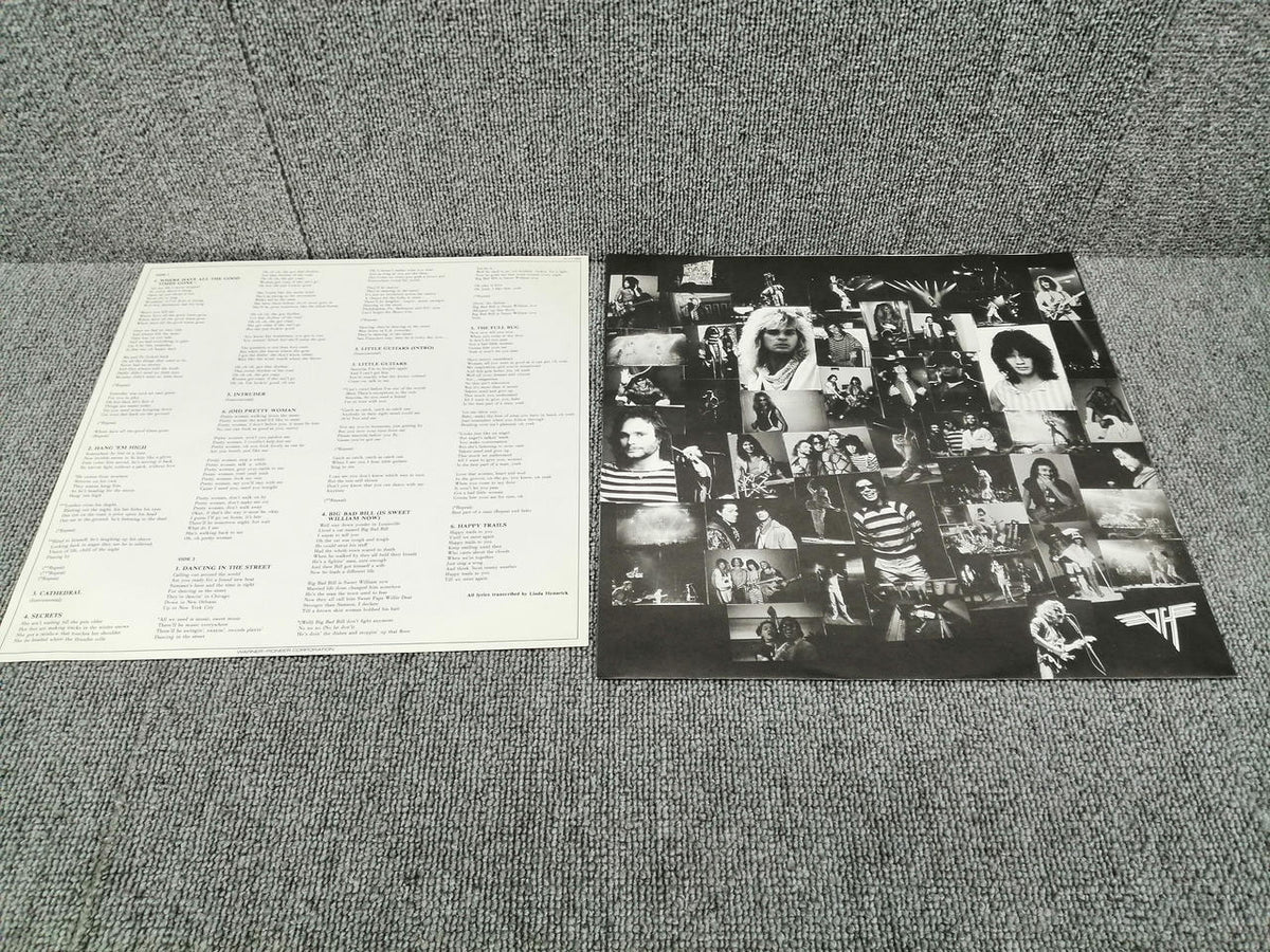 WARNER BROS. RECORDS Analog Record VAN HALEN / DIVER DOWN
