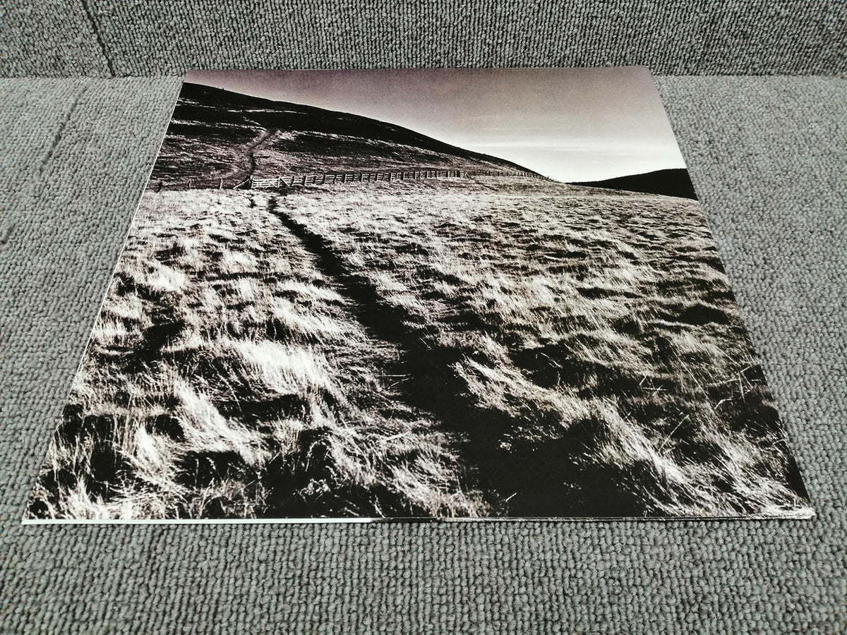 VIRGIN Analog record GARY MOORE/WILD FRONTIER