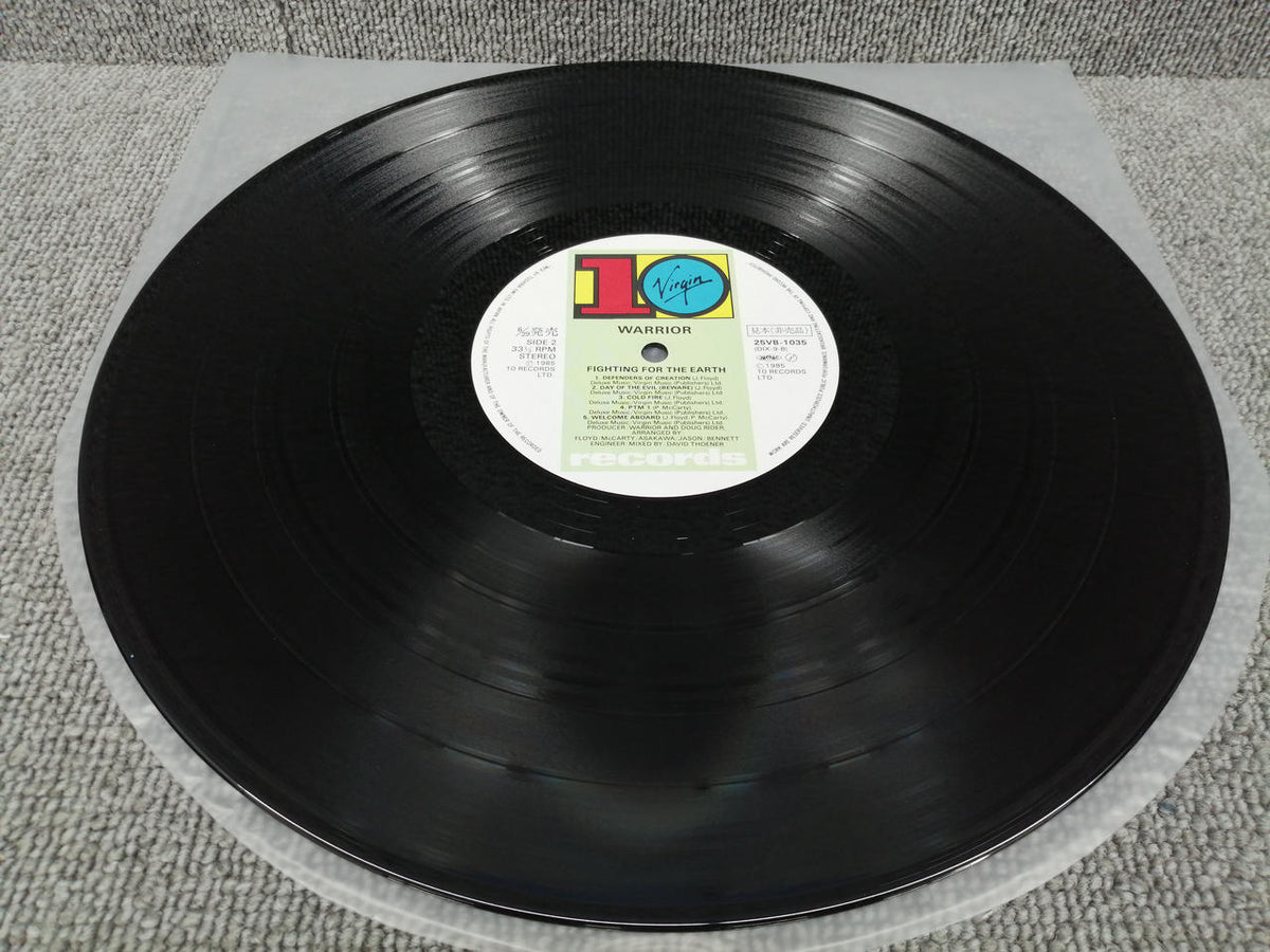 10 RECORDS Vinyl Record WARRIO/FIGHTING FOR THE EARTH