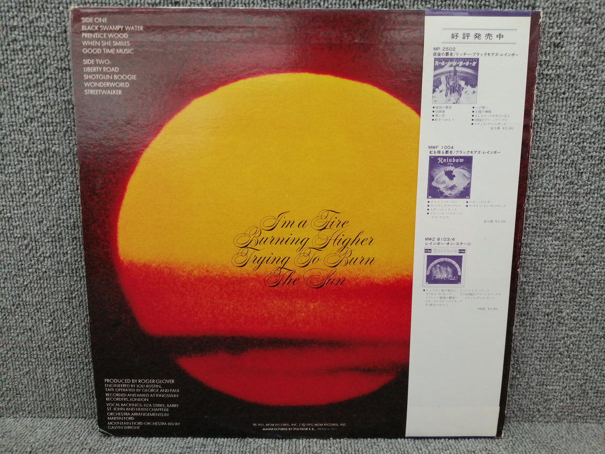 SAFARI Analog Record ELF / TRYING TO BURN THE SUN