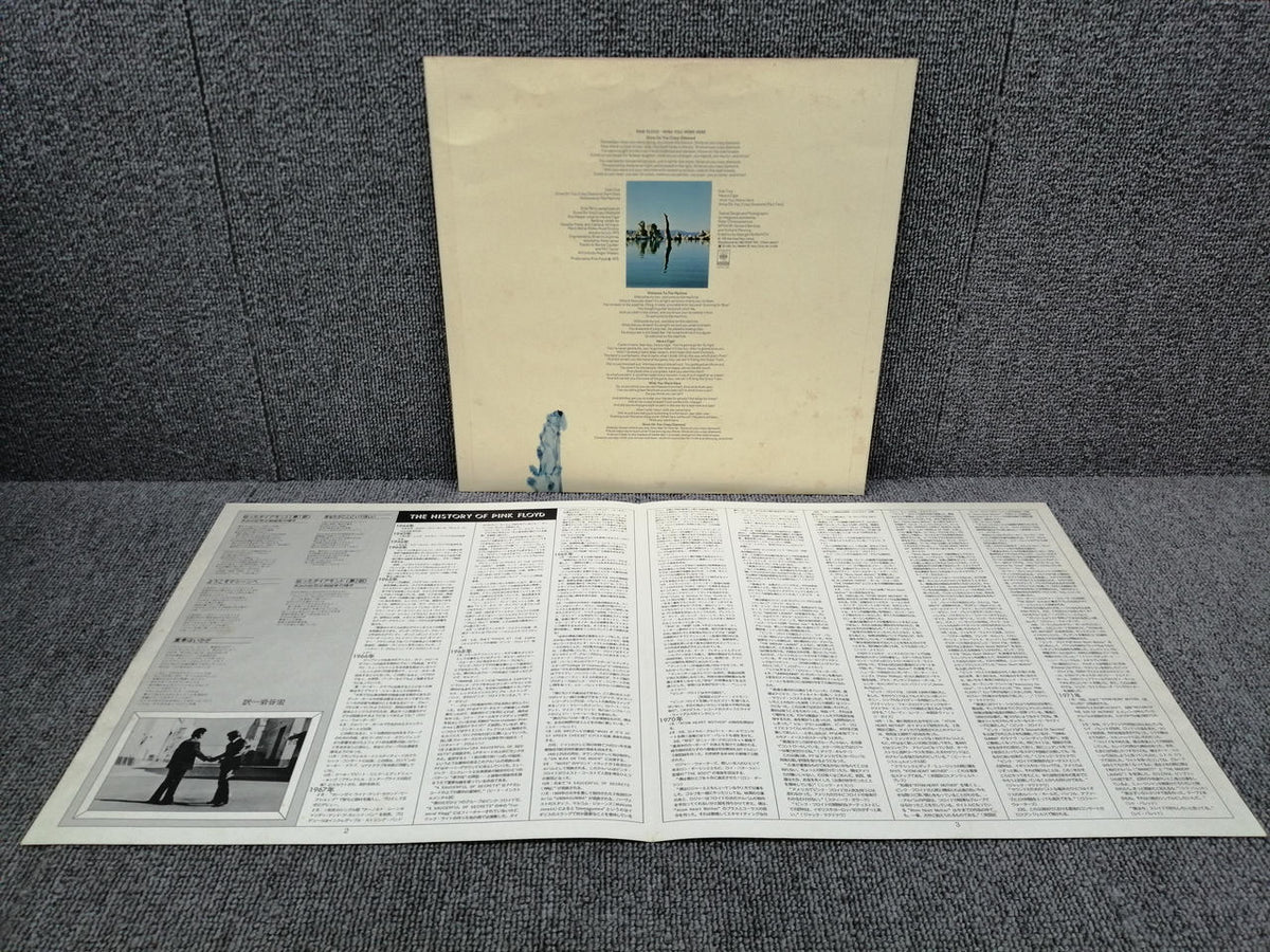 CBS/SONY PINK FLOYD/WISH YOU WERE HERE SOPO100