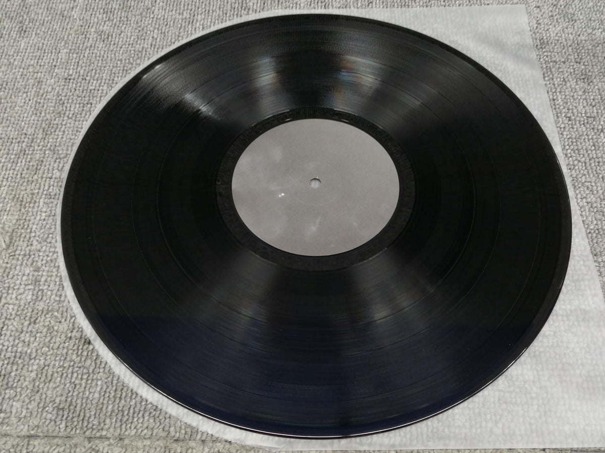 ROSE RECORDS SUNNY DAY SERVICE/THE CITY ROSE218X