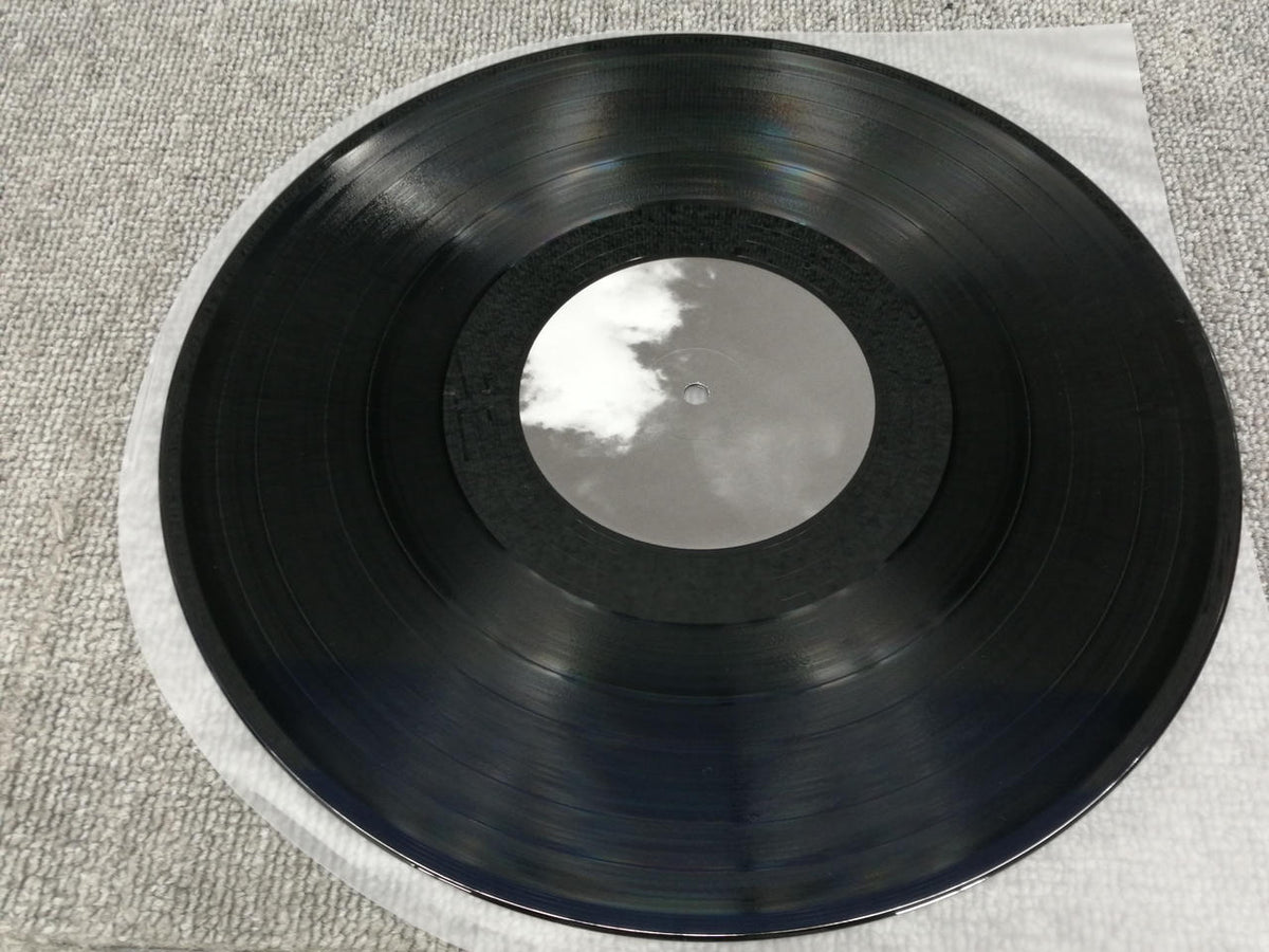 ROSE RECORDS SUNNY DAY SERVICE/THE CITY ROSE218X