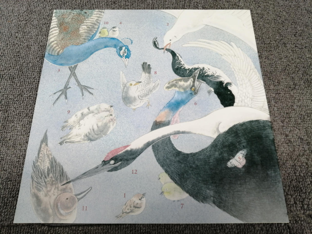 NOISE MCCARTNEY Quruli / 12 Ephemeral Beautiful Variations NMRS-1004-1~2