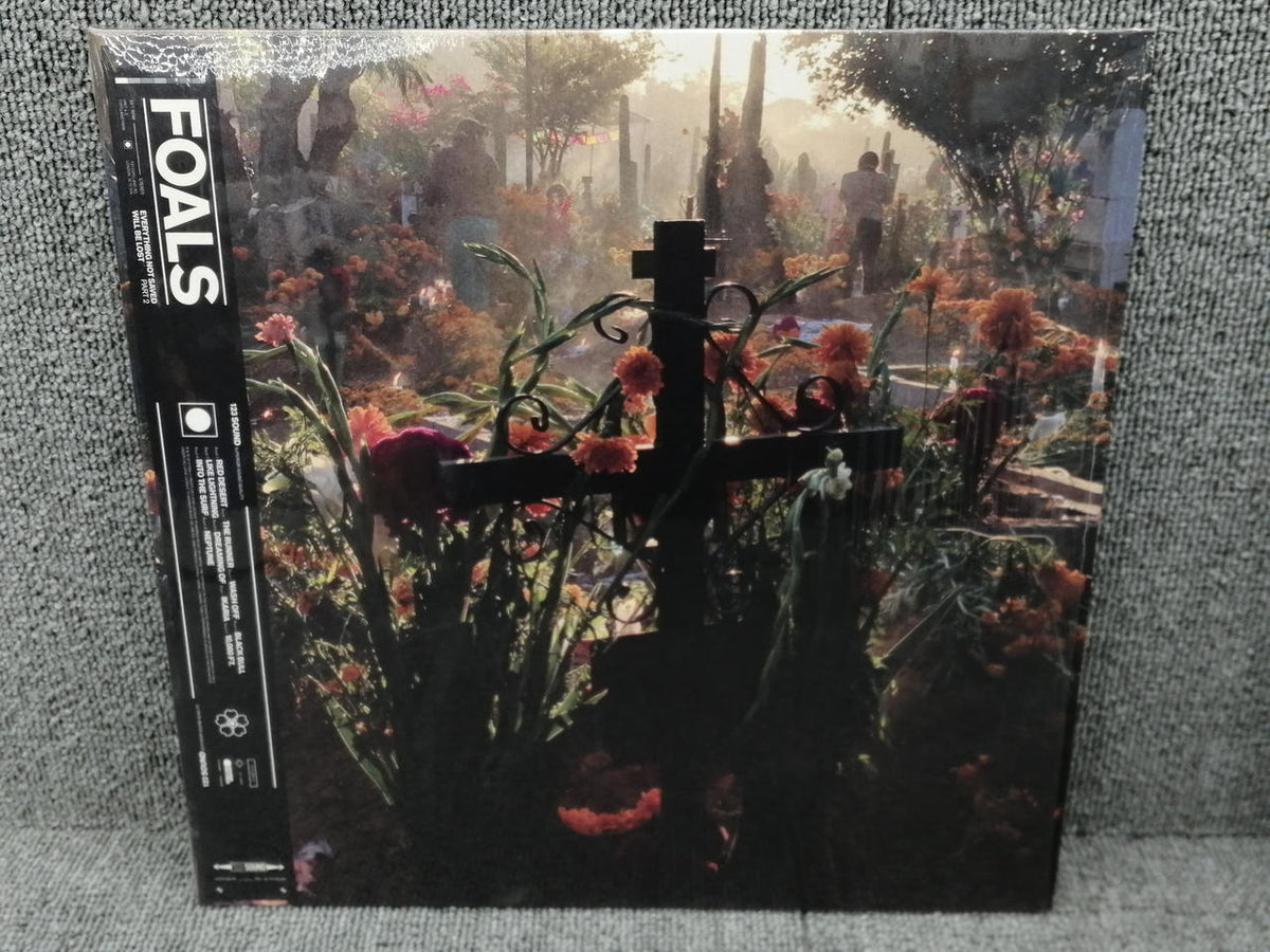 WAMER RECORDS FOALS/EVERYTHING NOT SAVED WIL 0190295394653