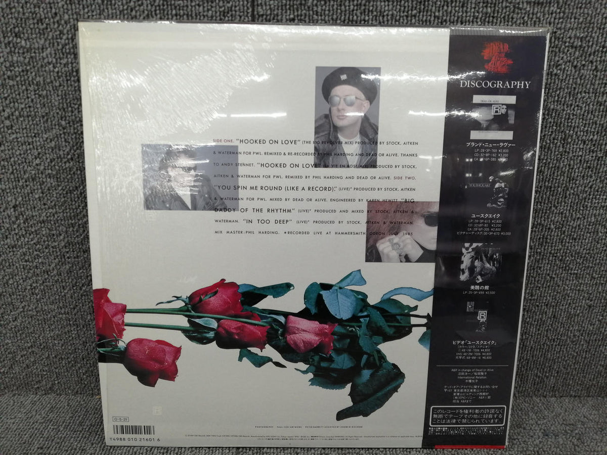 EPIC/SONY DEAD OR ALIVE// HOOKED ON LOVE 18・3P-810