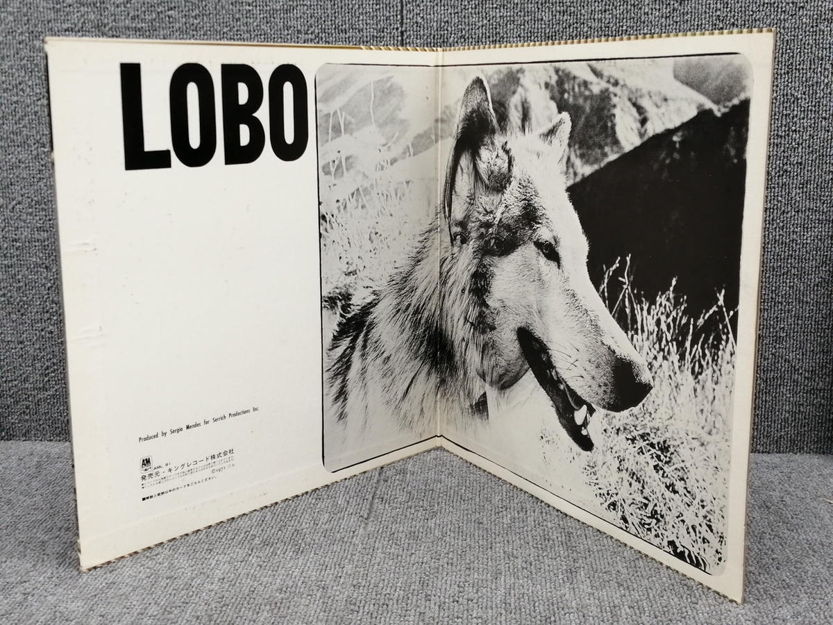 AM RECORD SERGIO MENDES/LOBO AML 91